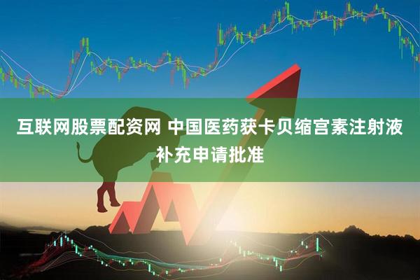 互联网股票配资网 中国医药获卡贝缩宫素注射液补充申请批准