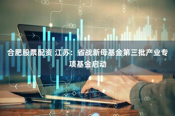 合肥股票配资 江苏：省战新母基金第三批产业专项基金启动
