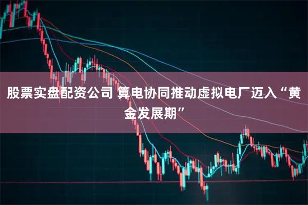 股票实盘配资公司 算电协同推动虚拟电厂迈入“黄金发展期”
